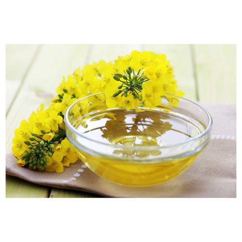 Chefs Pride Canola Oil, 35 Pound.