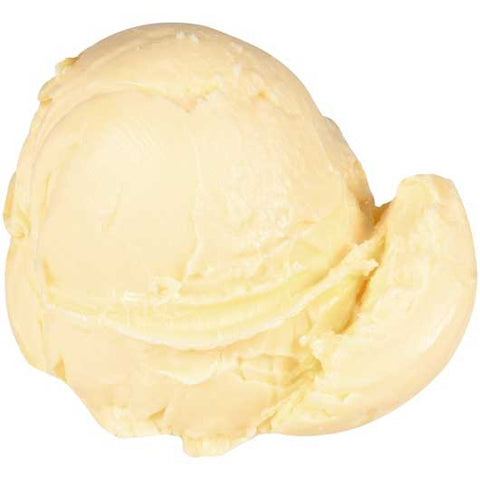 Earth Balance Soy Free Original Buttery Spread, 480 ounce -- 1 per case