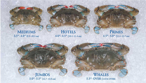 Handy Soft Shell Prime Crab, 2.35 Ounce -- 36 per case.