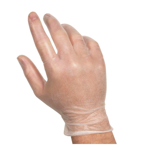 Handgards Eclipse Value Large POWDERED Vinyl Glove - 100 per pack -- 10 packs per case.