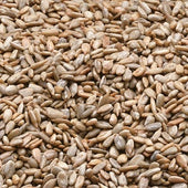 Azar Nut Lightly Salted Oven Roasted Sunflower Kernels, 3.5 Ounce -- 100 per case.