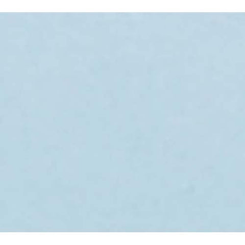 Cambro Fiberglass Sky Blue Dietary Tray, 19 x 12 inch -- 12 per case.