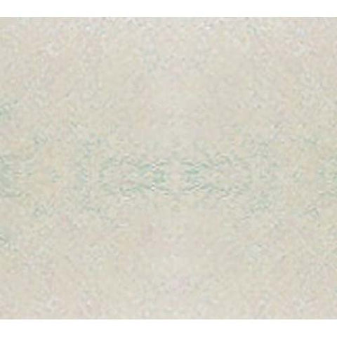Cambro Fiberglass Galaxy Antique Parchment Silver Dietary Tray, 19 x 12 inch -- 12 per case.