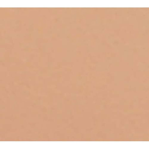 Cambro Dark Peach Round Low Profile Rim Camtray, 16 inch -- 12 per case.