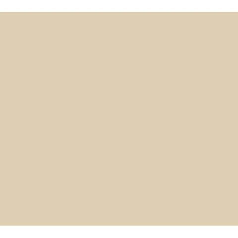Cambro Camrack Polypropylene Beige Full Size No Extender Base Rack, 19 3/4 x 19 3/4 x 4 inch -- 6 per case.