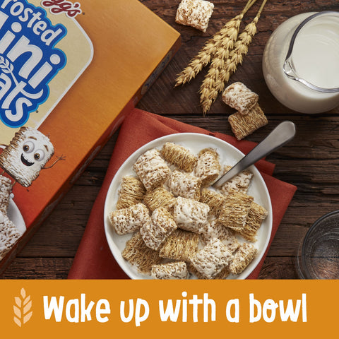 Kelloggs Bite Size Frosted Mini Wheats Cereal, 18 Ounce -- 16 per case.