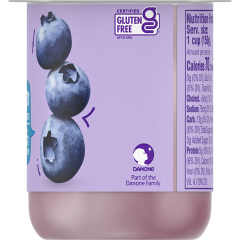 Light and Fit Blueberry Yogurt, 5.3 Ounce -- 12 per case.