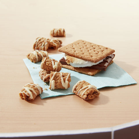 Nature Valley® SNACK BACKPACKER™ CHEWY OATMEAL BITES S’MORES