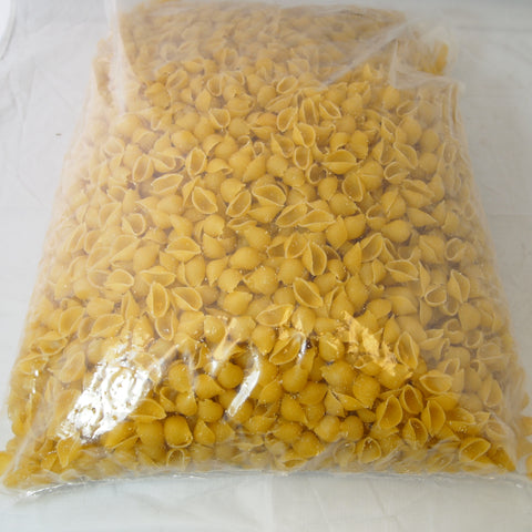 Zerega PASTA MEDIUM SHELLS