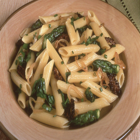 Zerega PASTA PENNE RIGATE