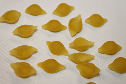 Zerega PASTA MEDIUM SHELLS