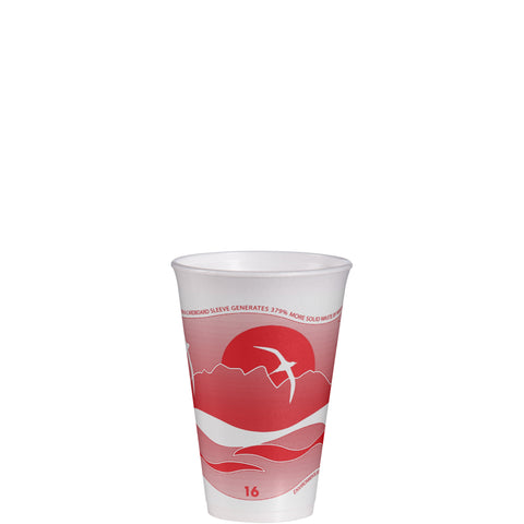 Dart CUP FOAM CRANBERRY HORIZON 16 OZ