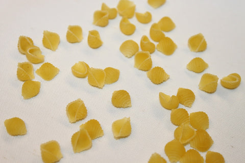 Code® PASTA SMALL SEA SHELLS