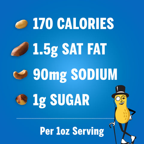 Planters MIXED NUTS REGULAR