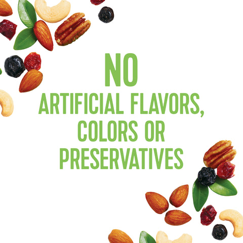 Planters SNACK NUT-RITION ALMOND CASHEW PECAN BLUEBERRIES CRANBERRIES & A TOUCH OF SALT ANTIOXIDANT MIX