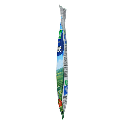 Hidden Valley® DRESSING BLEU CHEESE SINGLE SERVE PACKET