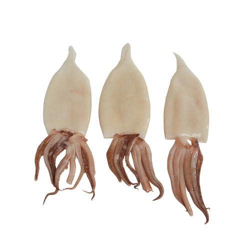 Squid Tubes & Tentacles Fcl Domestic