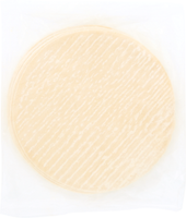 Tortilla Flour Stretched 10