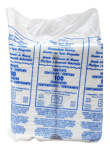 Container Foam White Hinged Lid Large Three Compartment 9.4x9x3